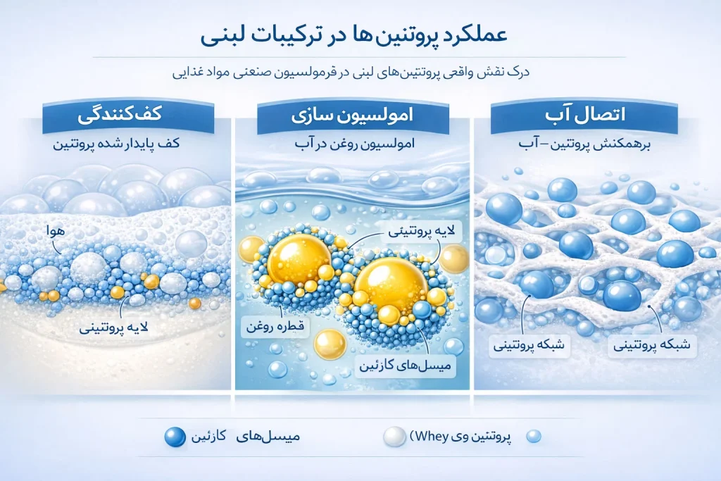 عملکرد پروتئین‌های لبنی در فرمولاسیون صنعتی