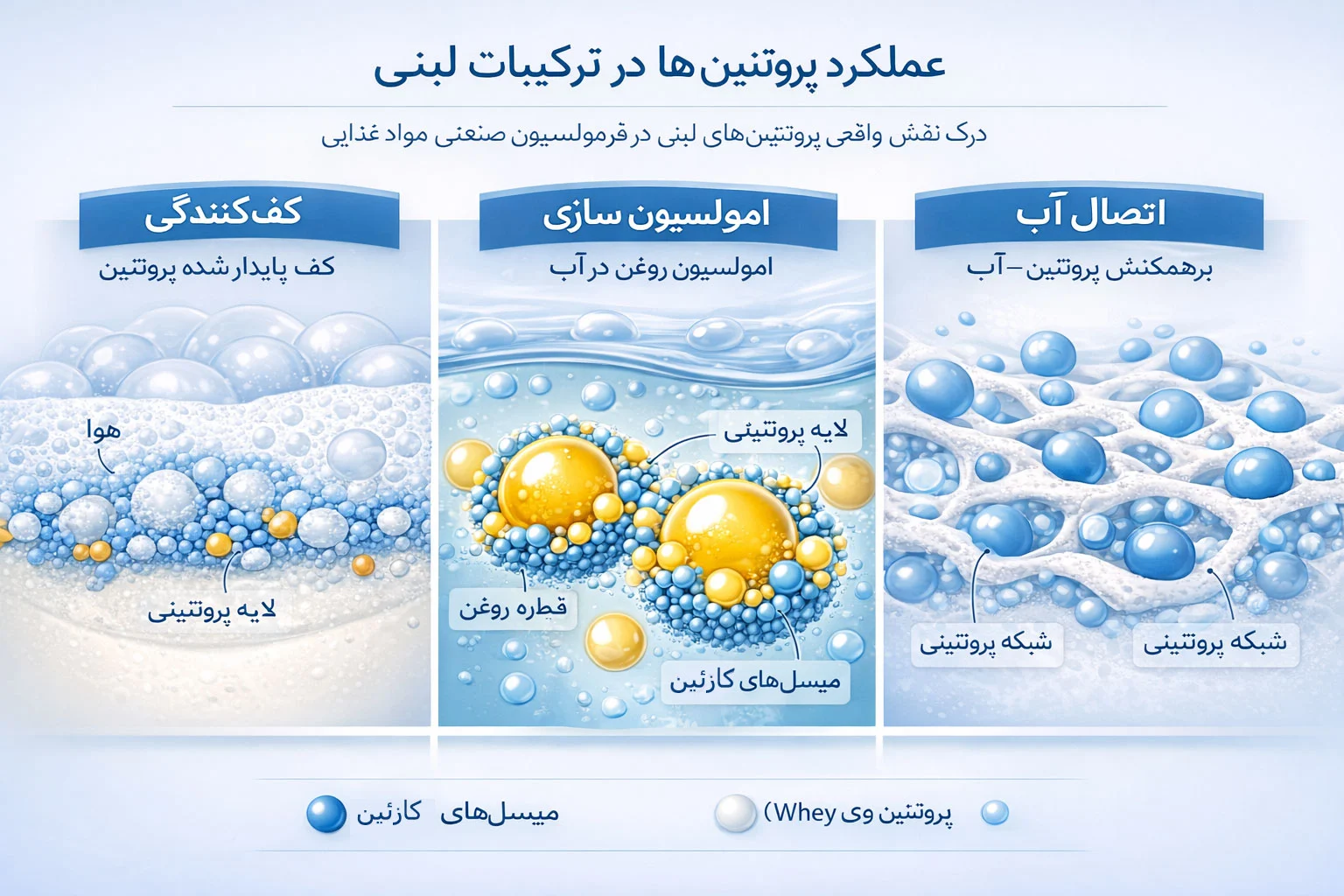 عملکرد پروتئین‌های لبنی در فرمولاسیون صنعتی - شاهدوش